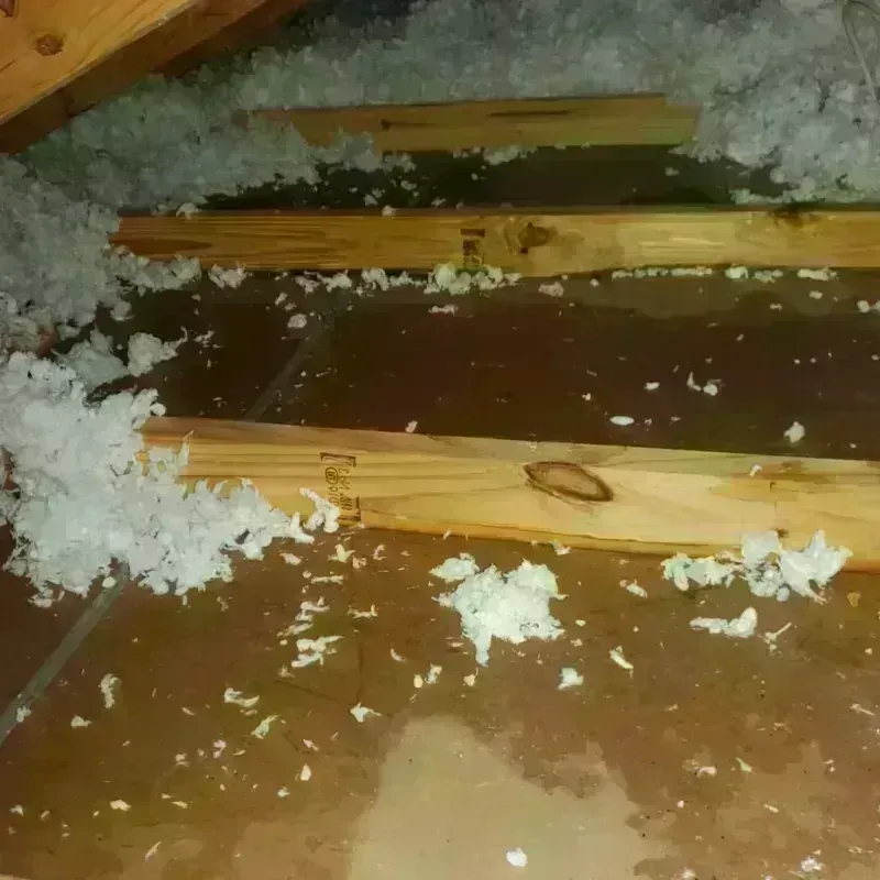 Attic Water Damage in La Union, NM